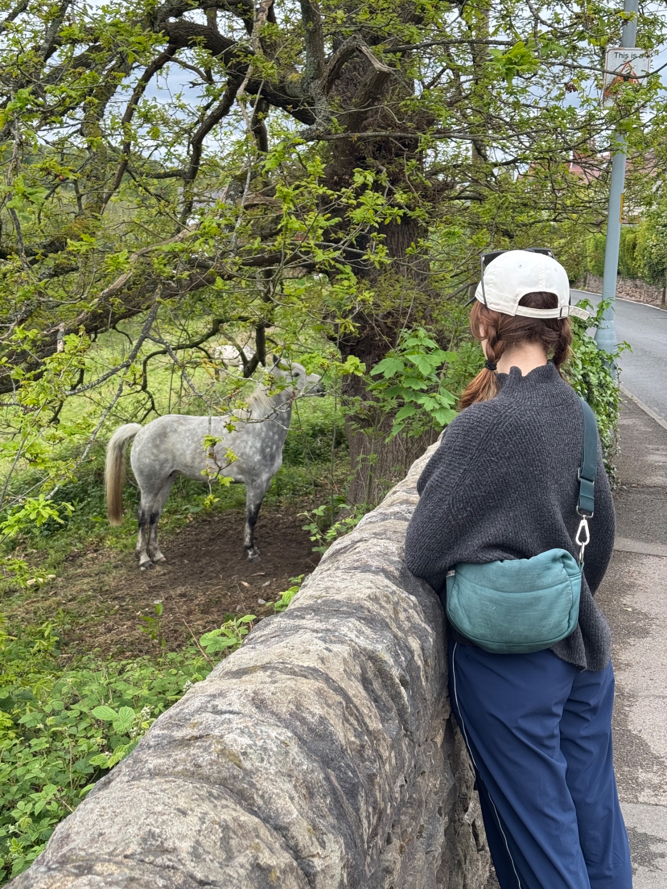 Photo captioned: horsey